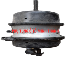 Bầu lốc kê trước 1T8