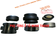 Cao su ốp trước sau space