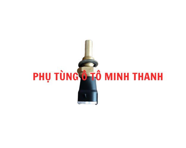 Cảm biến nhiệt độ nước Wechai