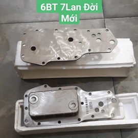 sinh sương hàn Dongfeng